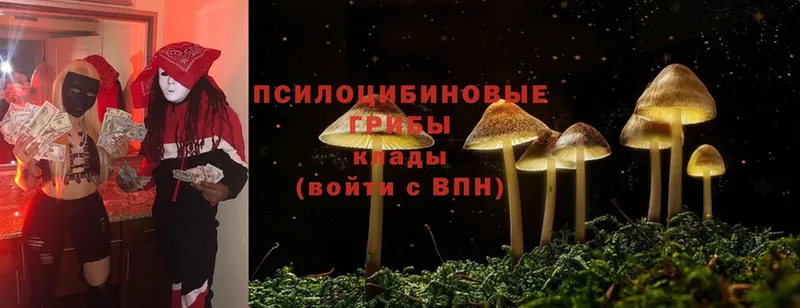 Галлюциногенные грибы Cubensis  Жуков 